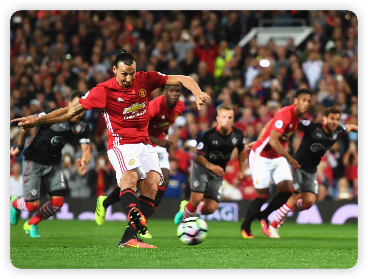 Fan Reactions and Expectations